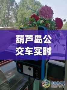 葫芦岛公交车实时到站查询APP:智慧出行,便捷生活