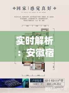 实时解析:安徽宿州猪价动态,市场行情一览无余