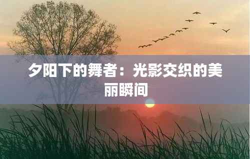 夕阳下的舞者：光影交织的美丽瞬间