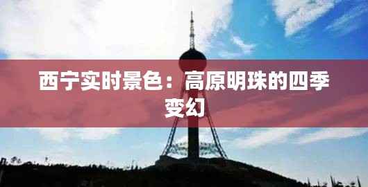 西宁实时景色：高原明珠的四季变幻