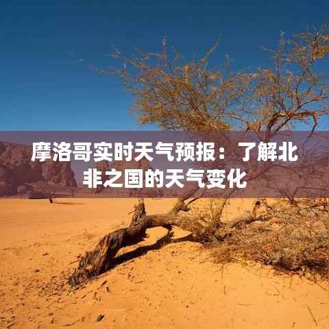 摩洛哥实时天气预报：了解北非之国的天气变化