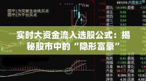 实时大资金流入选股公式:揭秘股市中的“隐形富豪”