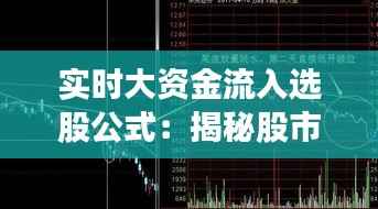 实时大资金流入选股公式:揭秘股市中的“隐形富豪”