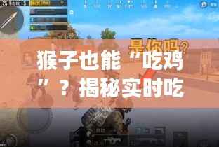 猴子也能“吃鸡”?揭秘实时吃鸡游戏中的猴子玩家