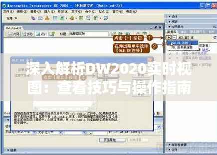 深入解析DW2020实时视图:查看技巧与操作指南