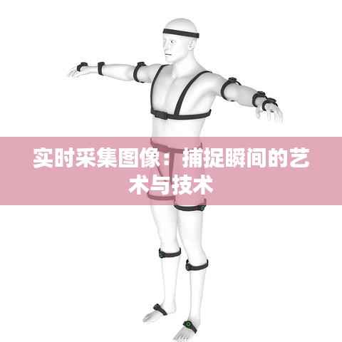 实时采集图像:捕捉瞬间的艺术与技术
