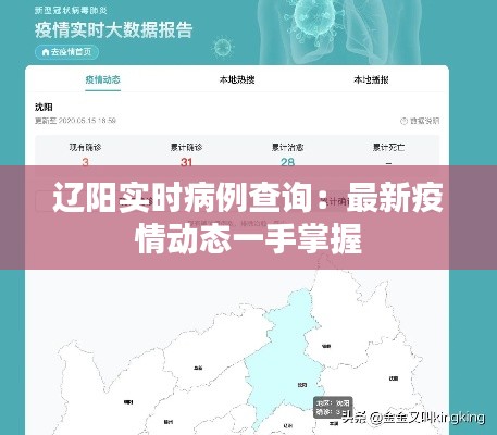 辽阳实时病例查询:最新疫情动态一手掌握