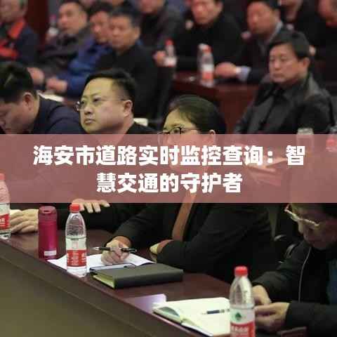 海安市道路实时监控查询:智慧交通的守护者