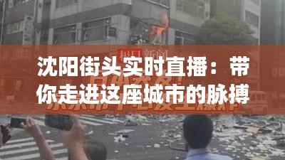 瞻云就日 第3页