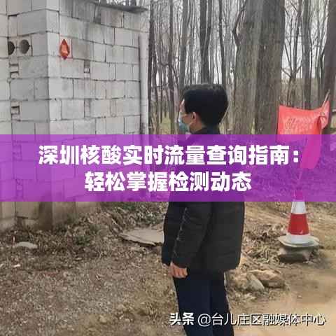 深圳核酸实时流量查询指南:轻松掌握检测动态