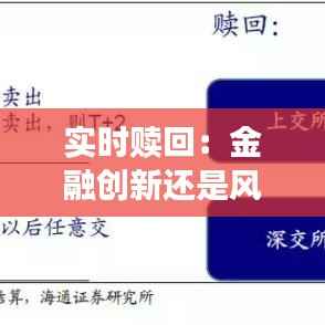 实时赎回:金融创新还是风险隐患?