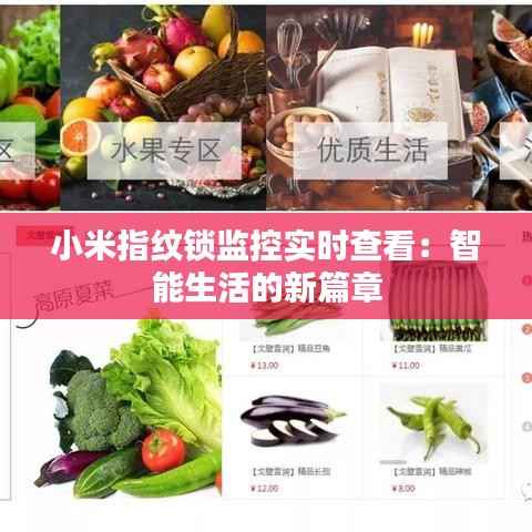 小米指纹锁监控实时查看:智能生活的新篇章