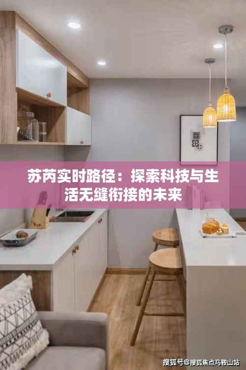 苏芮实时路径：探索科技与生活无缝衔接的未来