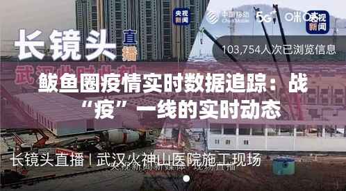 鲅鱼圈疫情实时数据追踪:战“疫”一线的实时动态
