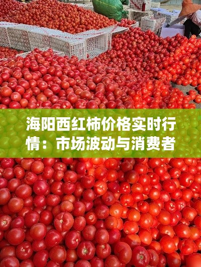 海阳西红柿价格实时行情:市场波动与消费者洞察