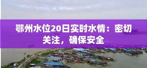 鄂州水位20日实时水情:密切关注,确保安全
