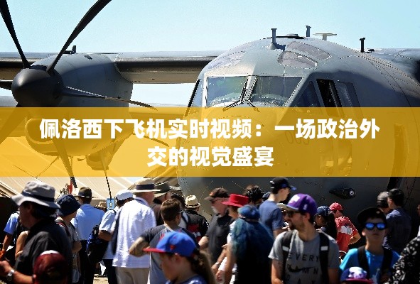 佩洛西下飞机实时视频:一场政治外交的视觉盛宴