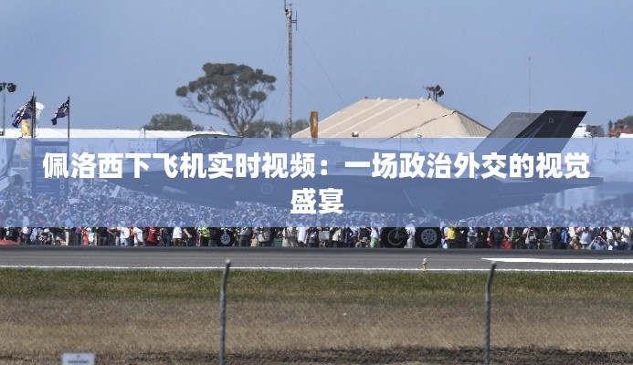 佩洛西下飞机实时视频:一场政治外交的视觉盛宴