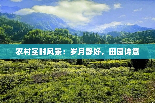 农村实时风景:岁月静好,田园诗意