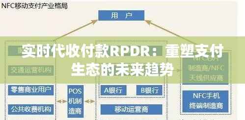 实时代收付款RPDR:重塑支付生态的未来趋势