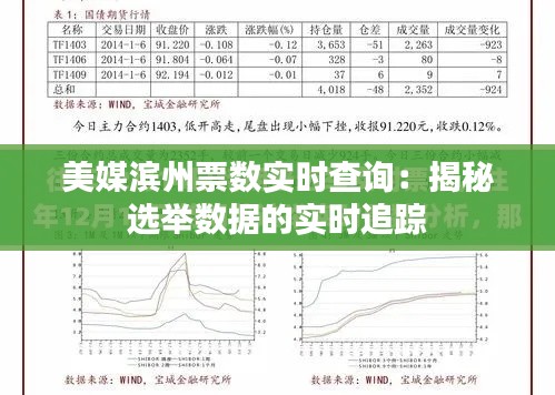 美媒滨州票数实时查询：揭秘选举数据的实时追踪