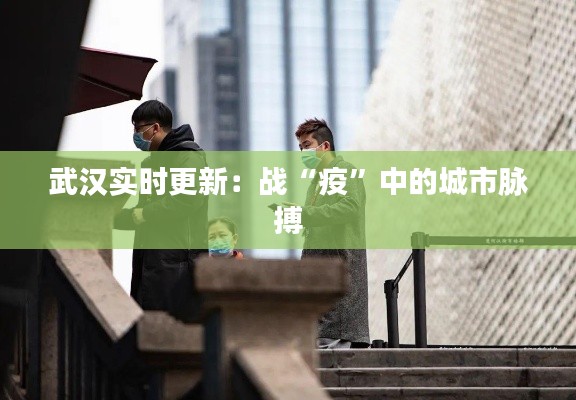 武汉实时更新:战“疫”中的城市脉搏