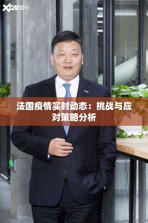 法国疫情实时动态:挑战与应对策略分析