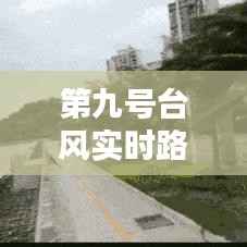 第九号台风实时路径追踪:风雨将至,预警先行