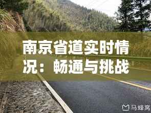 南京省道实时情况:畅通与挑战并存