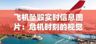 飞机坠毁实时信息图片:危机时刻的视觉记录