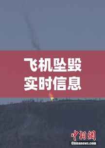 飞机坠毁实时信息图片:危机时刻的视觉记录