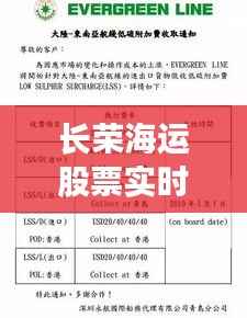 长荣海运股票实时动态:解析市场波动背后的因素