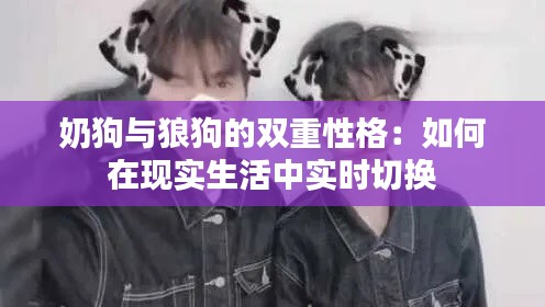 奶狗与狼狗的双重性格：如何在现实生活中实时切换