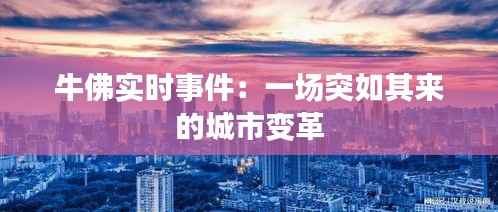 联系方式 第207页