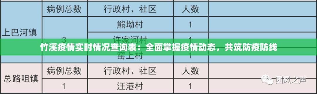 竹溪疫情实时情况查询表:全面掌握疫情动态,共筑防疫防线