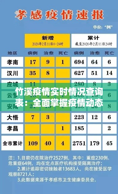 竹溪疫情实时情况查询表:全面掌握疫情动态,共筑防疫防线