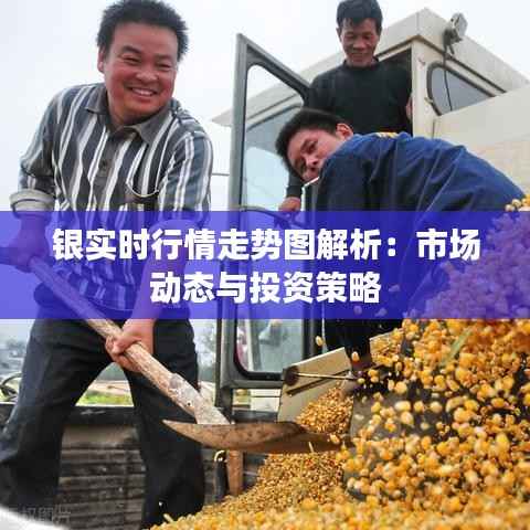 银实时行情走势图解析:市场动态与投资策略