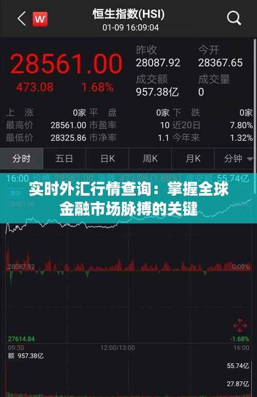 实时外汇行情查询:掌握全球金融市场脉搏的关键
