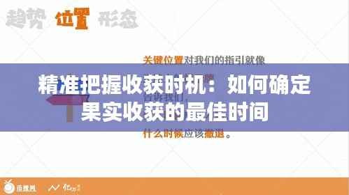 精准把握收获时机:如何确定果实收获的最佳时间