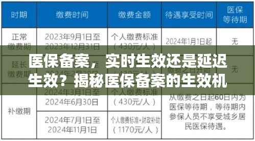 医保备案,实时生效还是延迟生效?揭秘医保备案的生效机制