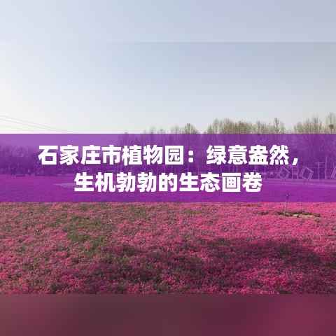 石家庄市植物园:绿意盎然,生机勃勃的生态画卷