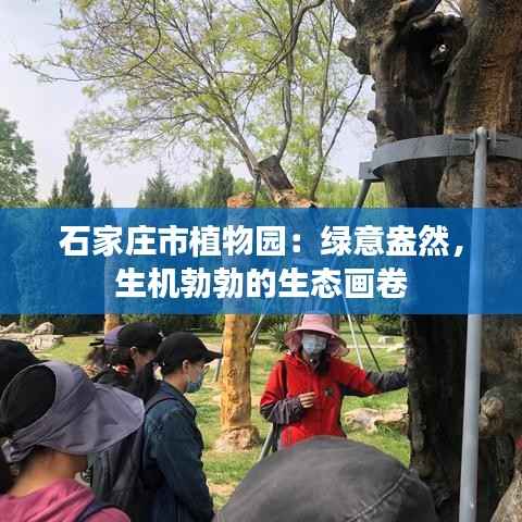 石家庄市植物园:绿意盎然,生机勃勃的生态画卷