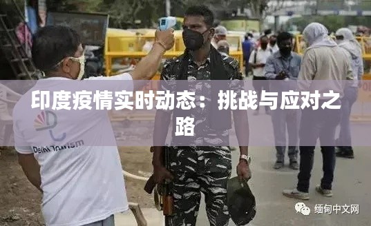 印度疫情实时动态:挑战与应对之路
