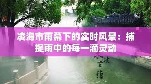 凌海市雨幕下的实时风景:捕捉雨中的每一滴灵动