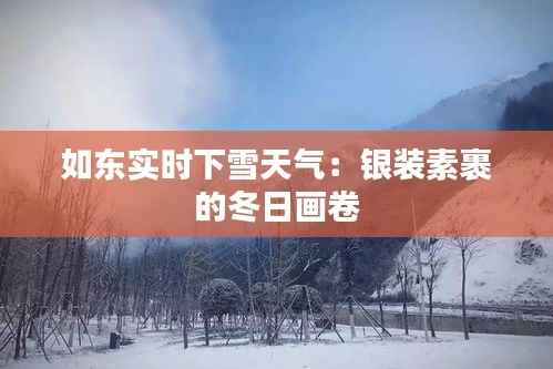 如东实时下雪天气:银装素裹的冬日画卷