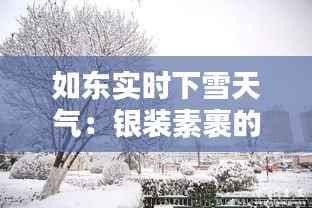 如东实时下雪天气:银装素裹的冬日画卷