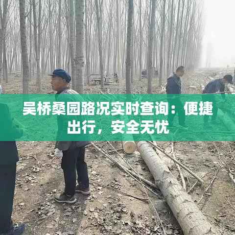 吴桥桑园路况实时查询:便捷出行,安全无忧