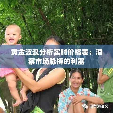 黄金波浪分析实时价格表：洞察市场脉搏的利器