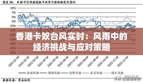 香港卡奴台风实时:风雨中的经济挑战与应对策略