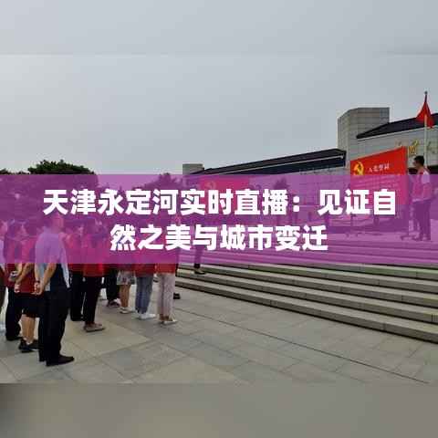 天津永定河实时直播:见证自然之美与城市变迁